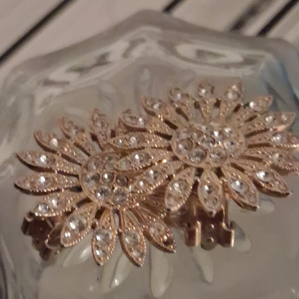 Vintage clip on earrings